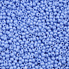 11/0 FGB Grade A Baking Paint Glass Seed Beads X-SEED-N001-A-1022-2