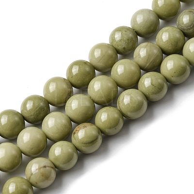 Natural Alashan Agate Beads Strands G-E598-03-1
