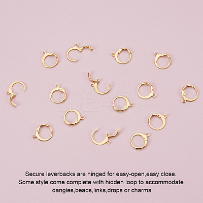 304 Stainless Steel Leverback Earring Findings A-STAS-G081-62G-1