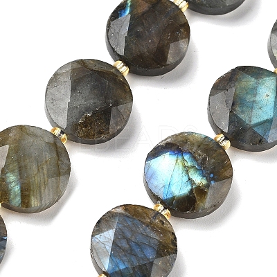 Natural Labradorite Beads Strands G-C116-A164-03-1