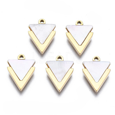 316 Surgical Stainless Steel Charms STAS-N097-043-1