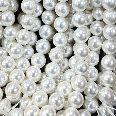 Shell Pearl Beads Strands X-BSHE-E008-8mm-12-1