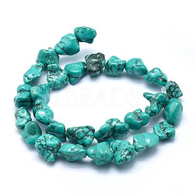 Natural Magnesite Beads Strands TURQ-G148-18B-1
