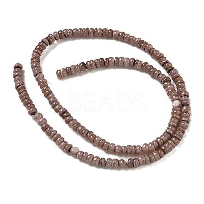 Dyed Natural Freshwater Shell Beads Strands X1-BSHE-G039-07I-1