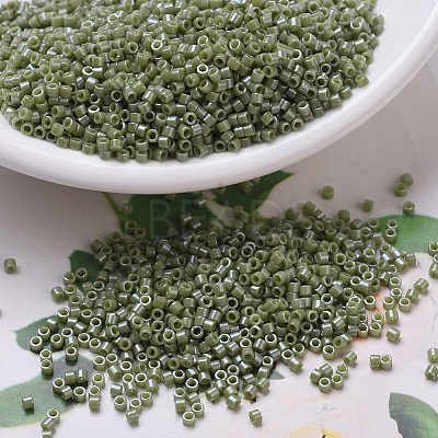 MIYUKI Delica Beads X-SEED-J020-DB0263-1