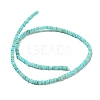 Dyed Natural Freshwater Shell Beads Strands BSHE-G039-07C-2