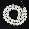 Natural Freshwater Shell Beads SHEL-S276-168M-2