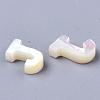 Natural Sea Shell Beads SHEL-T012-60J-2