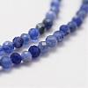 Natural Grade A Sodalite Beads Strands G-G663-21-2mm-3