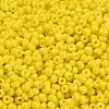 8/0 Opaque Colours Round Glass Seed Beads X-SEED-A010-3mm-42-3