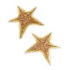 Iron and Raffia Stud Earrings for Women WGF3A03-02-2