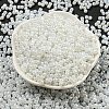 Glass Seed Beads SEED-K009-02B-24-2