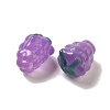 Handmade Lampwork Beads Strands LAMP-G162-05G-3