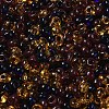 Transparent Colours Glass Seed Beads SEED-P006-02A-10-3