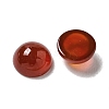 Natural Carnelian Cabochons G-Q173-01B-14-2