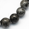 Natural Larvikite Round Beads Strands LS-G-S159-4mm-1