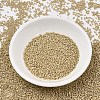 MIYUKI Delica Beads SEED-X0054-DB2364-2