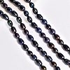 Natural Cultured Freshwater Pearl Beads Strands PEAR-NB0001-40-6