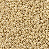MIYUKI Round Rocailles Beads SEED-G007-RR0488-3
