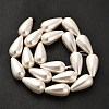 Electroplate Shell Pearl Beads Strands BSHE-G010-10x20mm-01-3