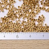 MIYUKI Delica Beads X-SEED-J020-DB0181-4