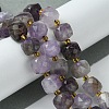 Natural Amethyst Beads Strands G-Q010-A07-01-2