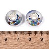 Handmade Lampwork & Brass Core European Beads LAMP-N044-09S-01-4