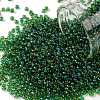 TOHO Round Seed Beads SEED-TR11-0242-1