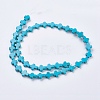 Synthetic Turquoise Beads Strands G-E474-02A-8x10m-2
