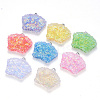 Epoxy Resin Pendants RESI-T044-09-1