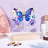 Transparent Acrylic Earring Displays NDIS-WH0015-01D-6