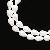 Shell Pearl Beads Strands PEAR-T005-03-3