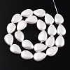 Electroplate Natural Freshwater Shell Beads Strands SHEL-R049-026A-3
