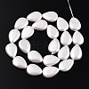 Electroplate Natural Freshwater Shell Beads Strands SHEL-R049-026A-3