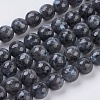 Natural Larvikite Beads Strands X-G-G542-10mm-27-1