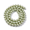 UV Plating Pearlized Glass Pearl Beads Strands GLAA-F128-01A-T21-4