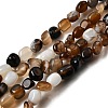 Natural Black Agate Bead Strands G-P070-34-2
