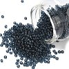 MIYUKI Round Rocailles Beads X-SEED-G008-RR2411-1