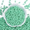 Baking Paint Glass Seed Beads X1-SEED-K010-A07-3