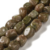 Natural Unakite Beads Strands G-B078-D25-01-1