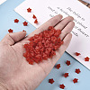 Transparent Acrylic Beads PL554-01-6