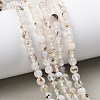 Natural Dendritic Agate Beads Strands G-D0005-18-6mm-8