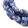 Natural Blue Spot Jasper Beads Strands G-M435-A03-01-4