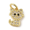 Brass Micro Pave Clear Cubic Zirconia Pendants KK-R162-015A-G-1