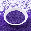 MIYUKI Round Rocailles Beads X-SEED-G007-RR0176-2