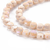 Opaque Electroplate Glass Beads Strands X-EGLA-N007-002-B04-3