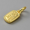 Alloy Pendants with Chinese Characters FIND-WH0159-63G-24-2