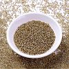 MIYUKI Delica Beads LS-X-SEED-J020-DB2155-2