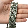 Natural Green Spot Jasper Beads Strands G-A280-C14-01-1
