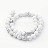 Natural Howlite Bead Strands G-G735-66-10mm-4
